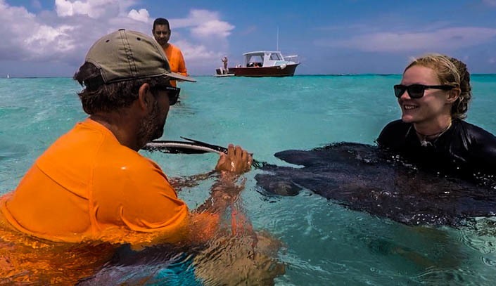 Barb on ray in Stingray City Grand Cayman - Crazy Crab